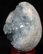 Gorgeous Celestine (Celestite) Geode Egg - Madagascar #37063-1